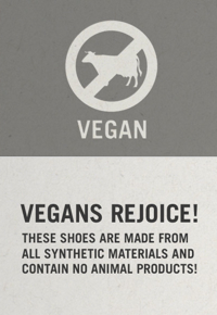 Etnies Vegan Shoes